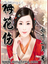 梅花伤小说