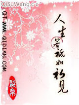 人生若祗如初见小说