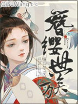 簪缨世族小说