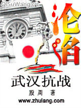 沦陷之武汉抗战小说