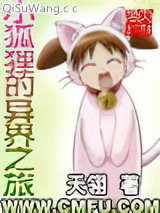 小狐狸的异界之旅小说