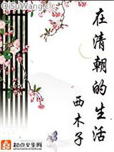 在清朝的生活小说