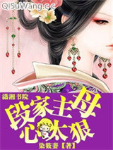 段家主母心太狠小说