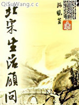 北宋生活顾问小说