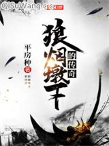 狼烟墩下的传奇小说