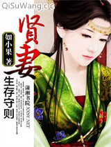 贤妻生存守则小说