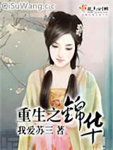 重生之锦华小说