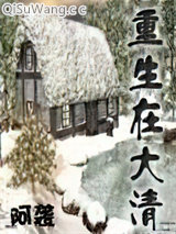 重生在大清小说