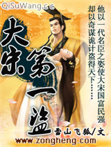 大宋第一盗小说