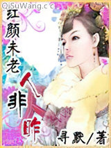 红颜未老人非昨小说