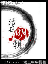 活在明朝小说