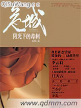 囧羊羊VS黑暗狼小说