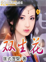 双生花小说