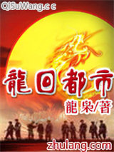 龙回都市小说