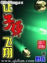 让子弹飞翔小说