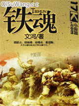 铁魂小说