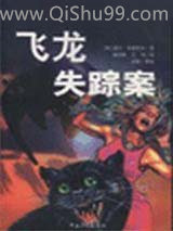 飞龙失踪案小说
