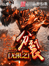 无限之分裂小说