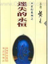 迷失的永恒小说