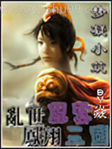 乱世风云---凤翔三国小说