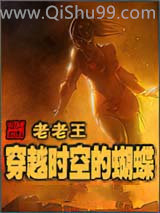 穿越时空的蝴蝶小说