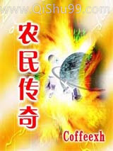 农民传奇小说