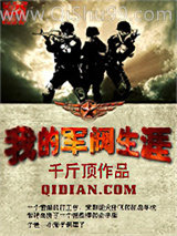 我的军阀生涯小说