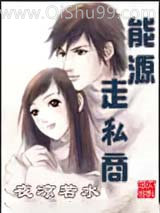 能源走私商小说