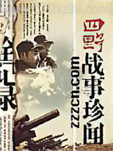四野战事珍闻全记录小说