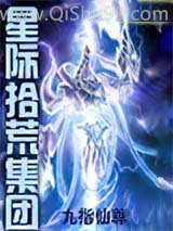 星际拾荒集团小说