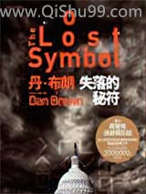 失落的秘符小说