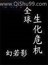 全球生化危机小说