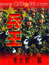 兵王小说