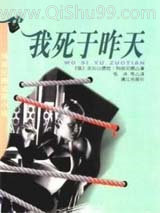 我死于昨天小说
