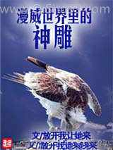 漫威世界里的神雕小说