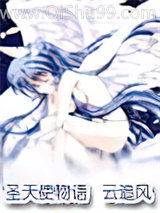 圣天使物语小说