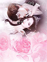 小寒资料集小说