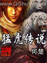猛虎传说小说