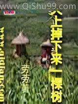 天上掉下来一棵树小说