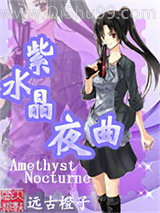紫水晶夜曲小说