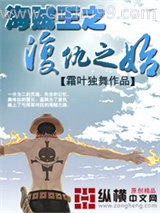 海贼王之复仇之始小说