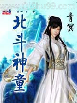 北斗神童小说