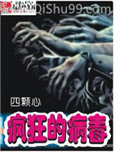 疯狂的病毒小说