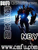 我的变形金刚小说