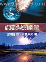 熊熊燃烧的岛小说