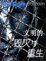 文明的毁灭与重生小说