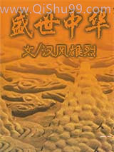 盛世中华小说