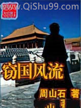 窃国风流小说