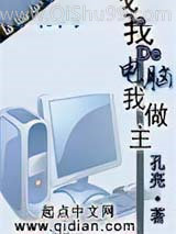 我的电脑我做主小说