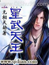 星武天王小说